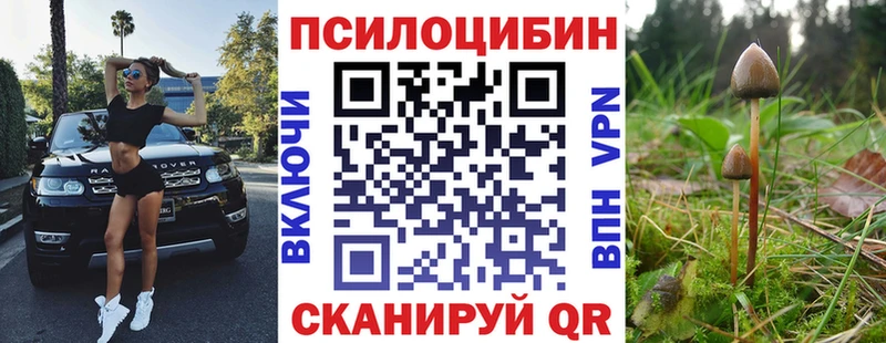 блэк спрут маркетплейс Дзержинск Галлюциногенные грибы Psilocybe